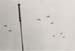 S24
